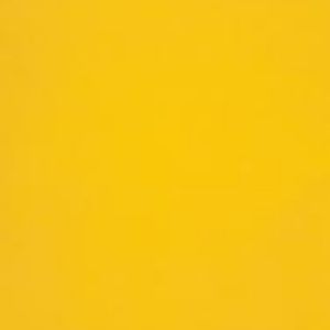 Meet your Posher, Naomi